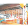 High Quality of Automatic Chicken Cage